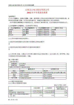 600995 文山电力半报摘要.ppt