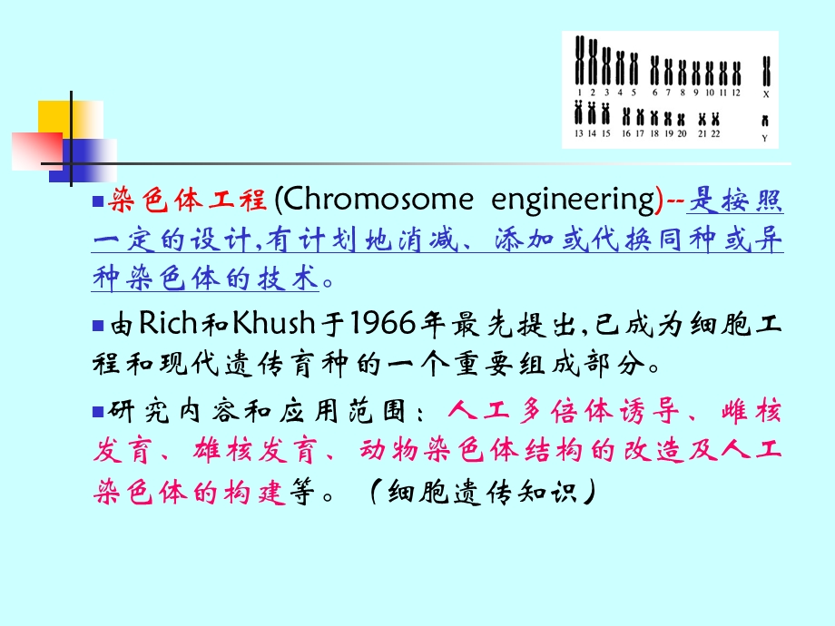 第五章 动物细胞染色体工程.ppt.ppt_第3页