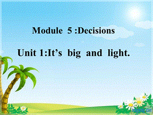 外研社新标准英语（三级起始用）第五册Module5 Unit1 It’s big and light课件.ppt