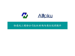 恒通化工股份公司组织结构与岗位梳理报告.ppt