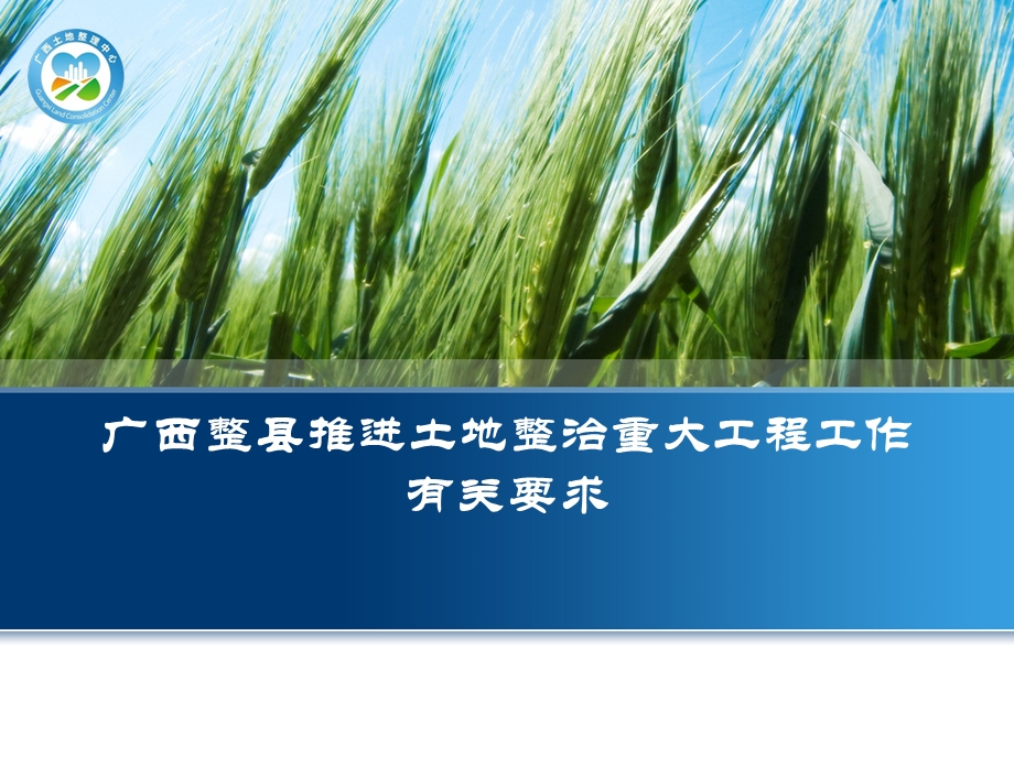 广西整县推进土地整治重大工程广西整县推进土地整治重大工程工作要求.ppt_第1页