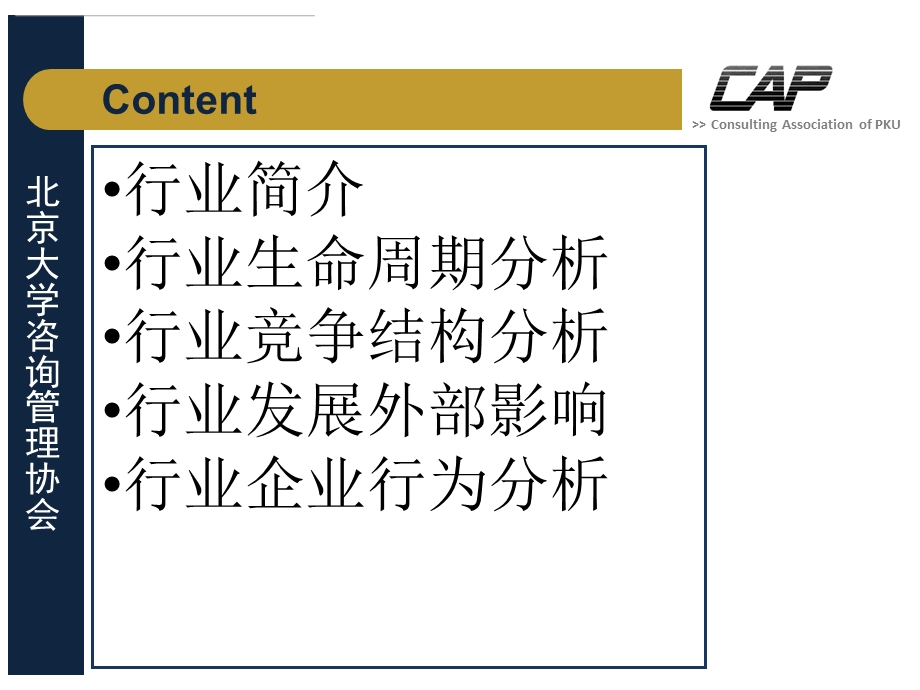 Industry Analysis.ppt_第2页