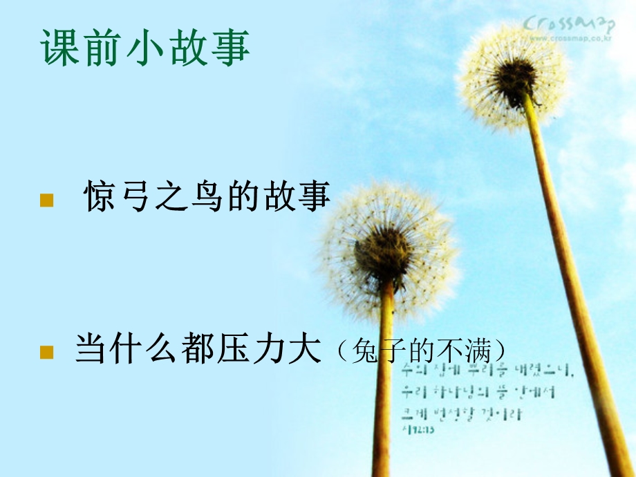 缓解压力.ppt.ppt_第3页