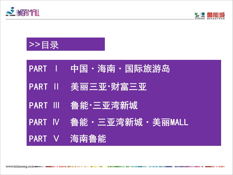 三亚首例滨海休闲娱乐商业中心招商演示（46页） .ppt_第2页