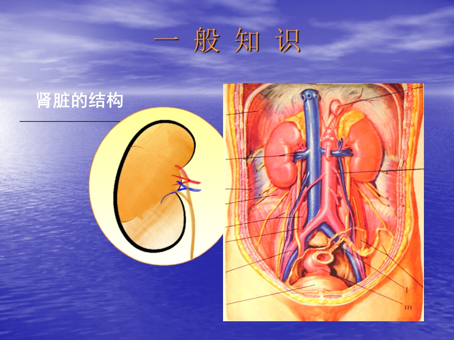 慢性肾脏病心血管并发症的防治策略.ppt_第2页