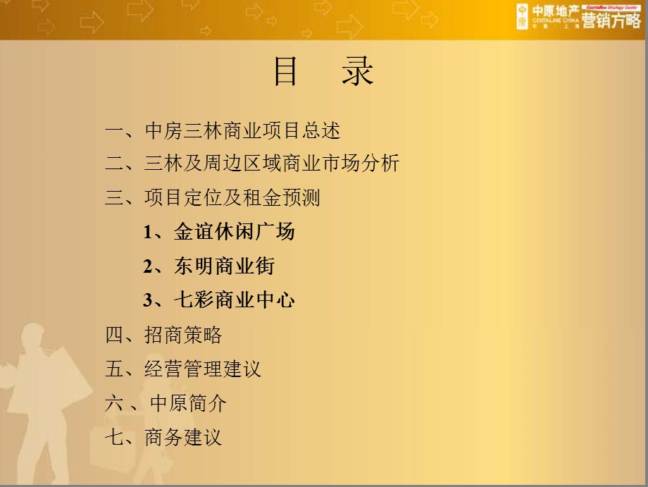 上海中房三林商业项目全程营销提案.ppt_第1页