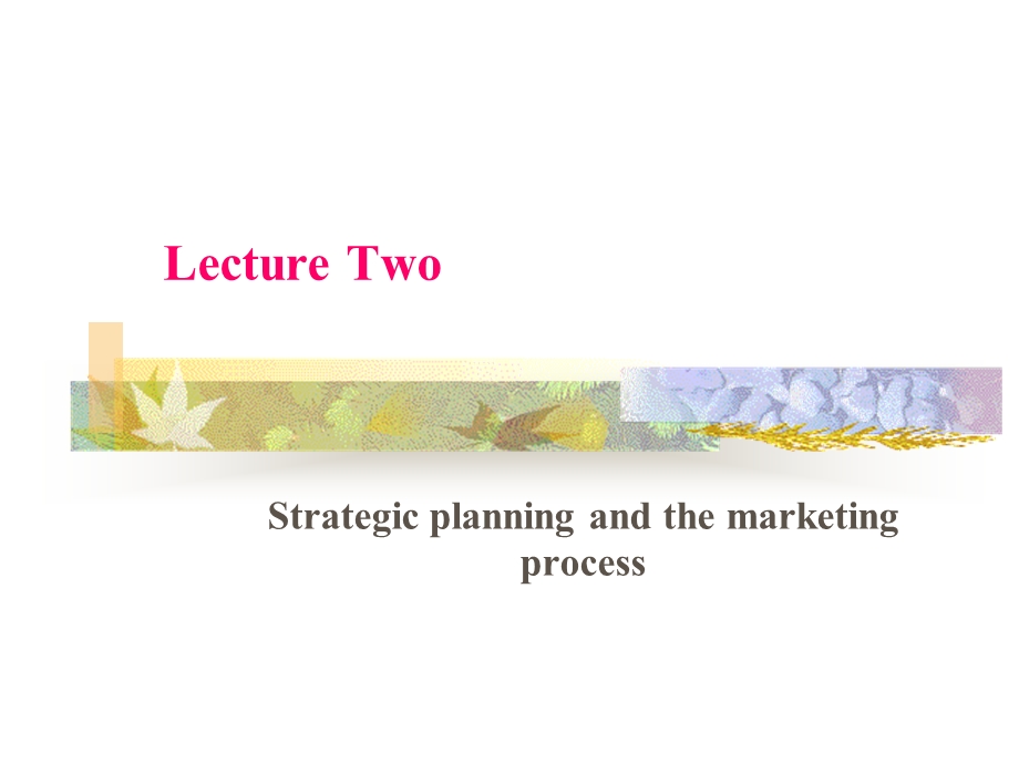 Strategic planning.ppt_第2页