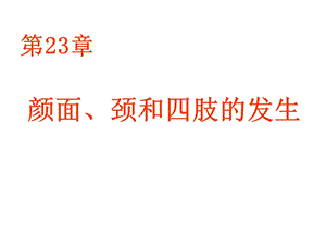 23颜面、颈和四肢的发生.ppt