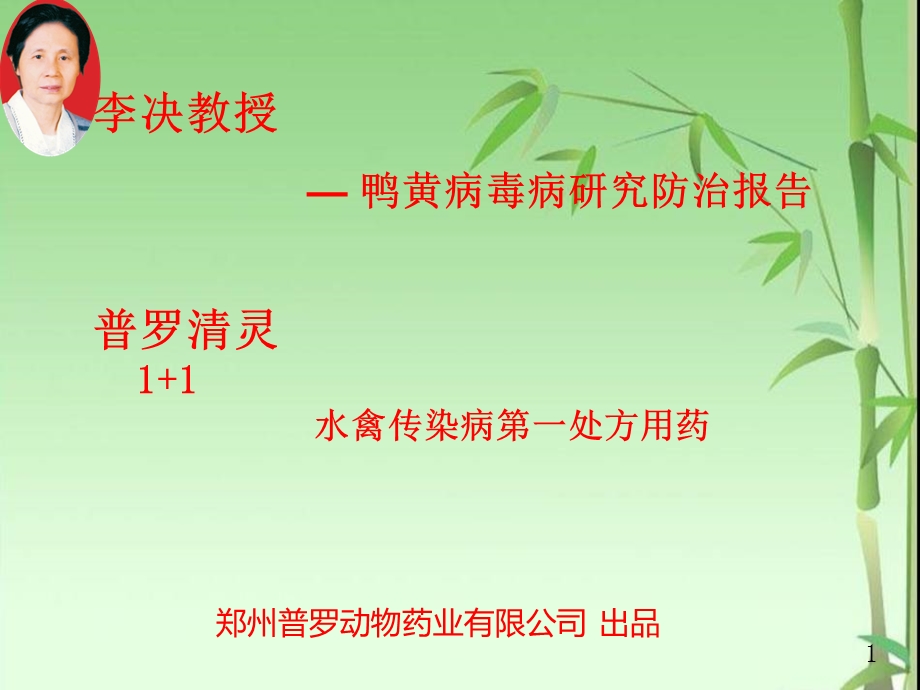 鸭黄病毒病研究防治报告.ppt_第1页