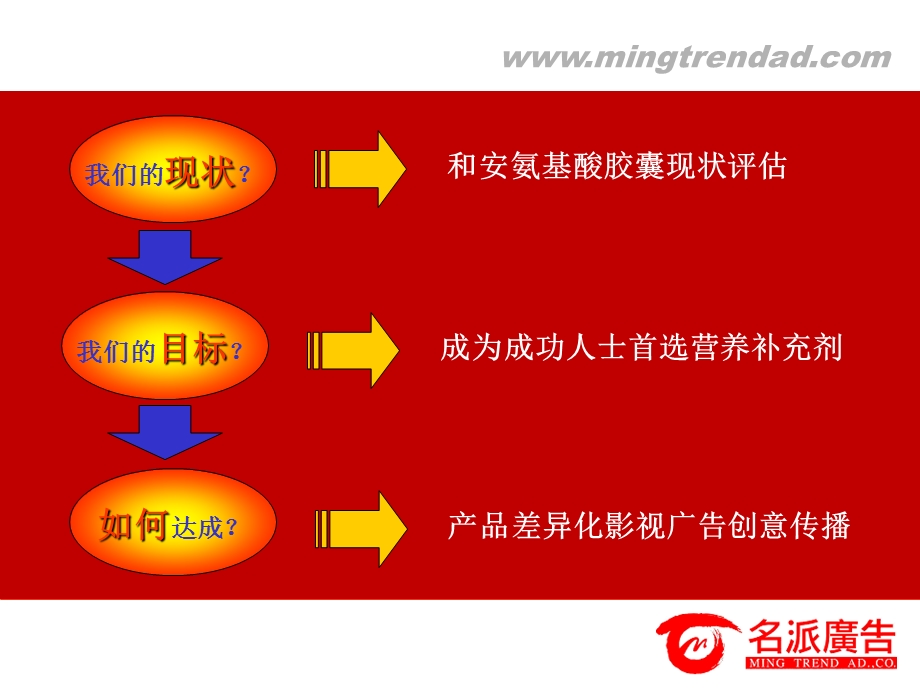 名派-万和制药和安复方氨基酸胶囊CF策略方案.ppt_第3页