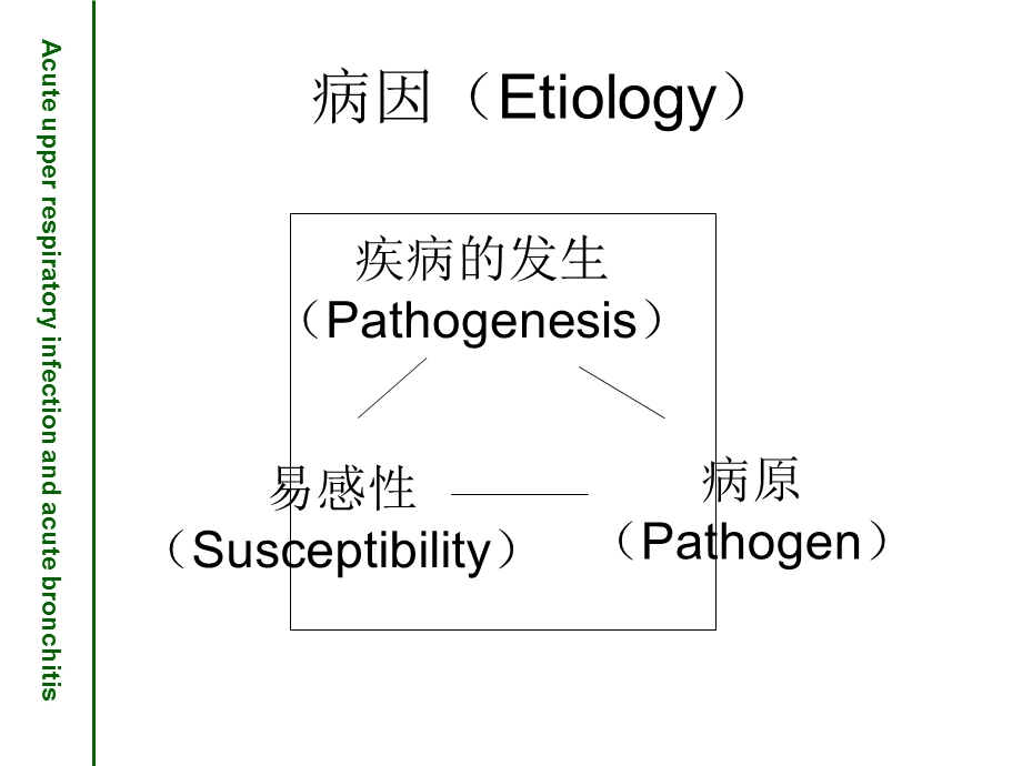 急性上呼吸道感染支气管炎.ppt_第3页