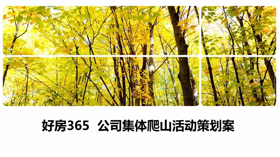 公司集体员工爬山活动策划方案.ppt_第1页