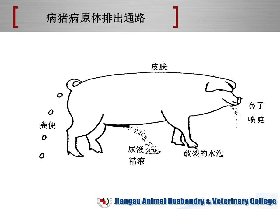 猪场消毒与防疫.ppt_第3页