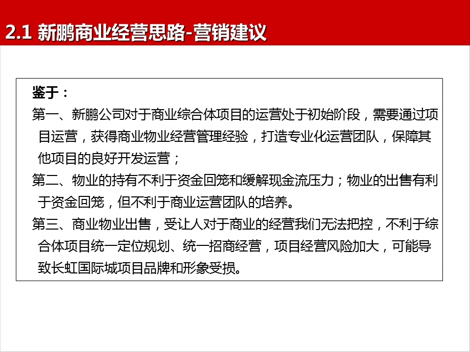 四川宜宾新鹏盛世临港商业思路报告.ppt_第2页