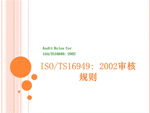 04038TS169492002审核规则.ppt