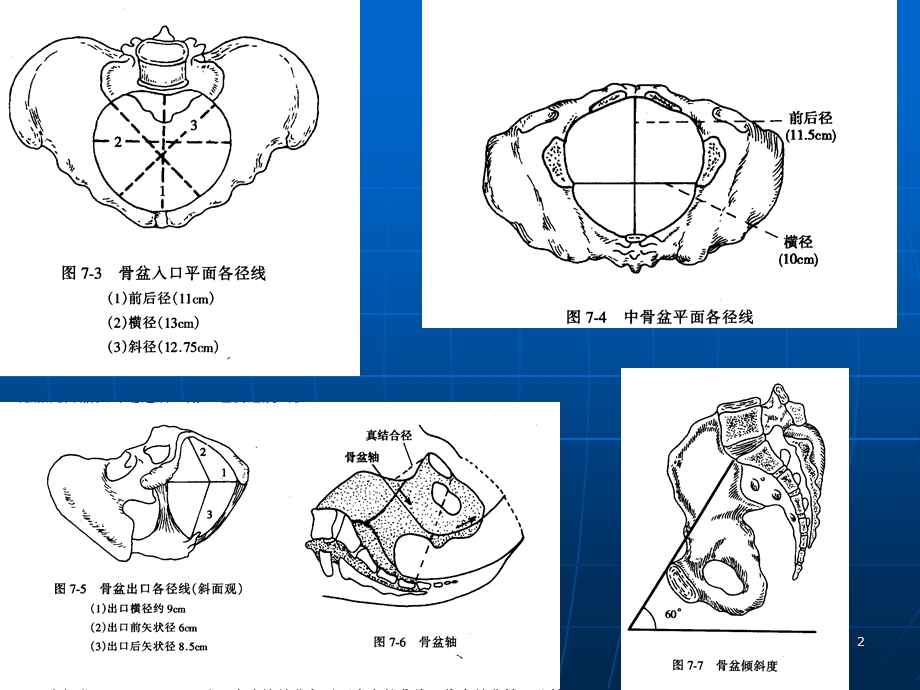 头位难产(PPT41).ppt_第2页