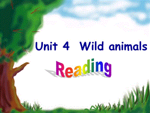 牛津初中英语课件Unit 4 Wild animals.ppt