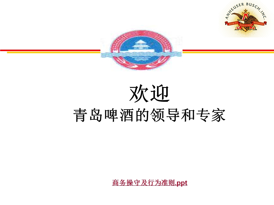 安盛百威企业文化分析报告.ppt_第1页