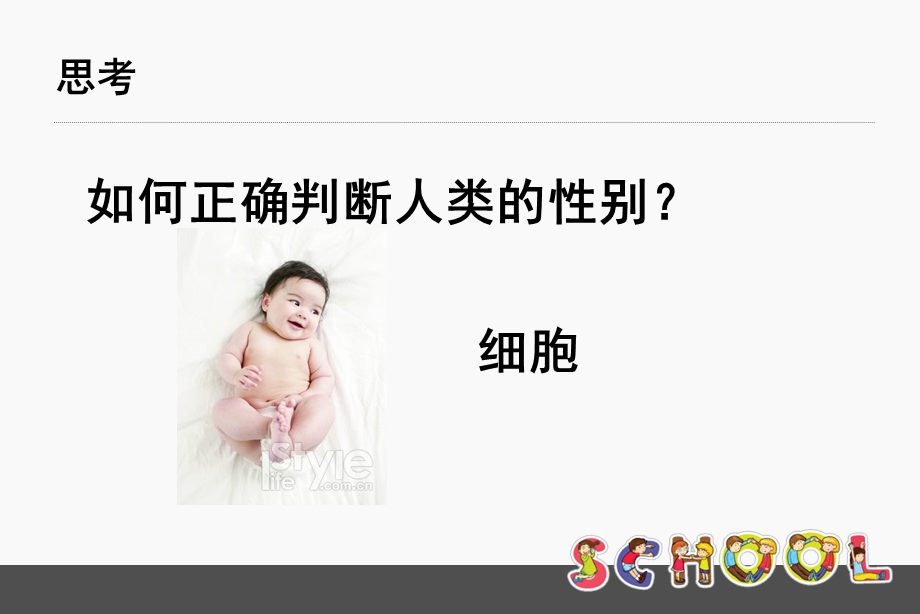 人类性别决定吴培培.ppt_第3页