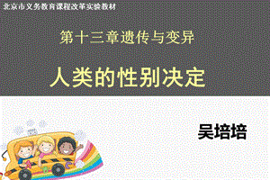 人类性别决定吴培培.ppt