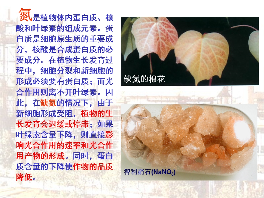 合成氨生产工艺介绍讲座PPT.ppt_第3页