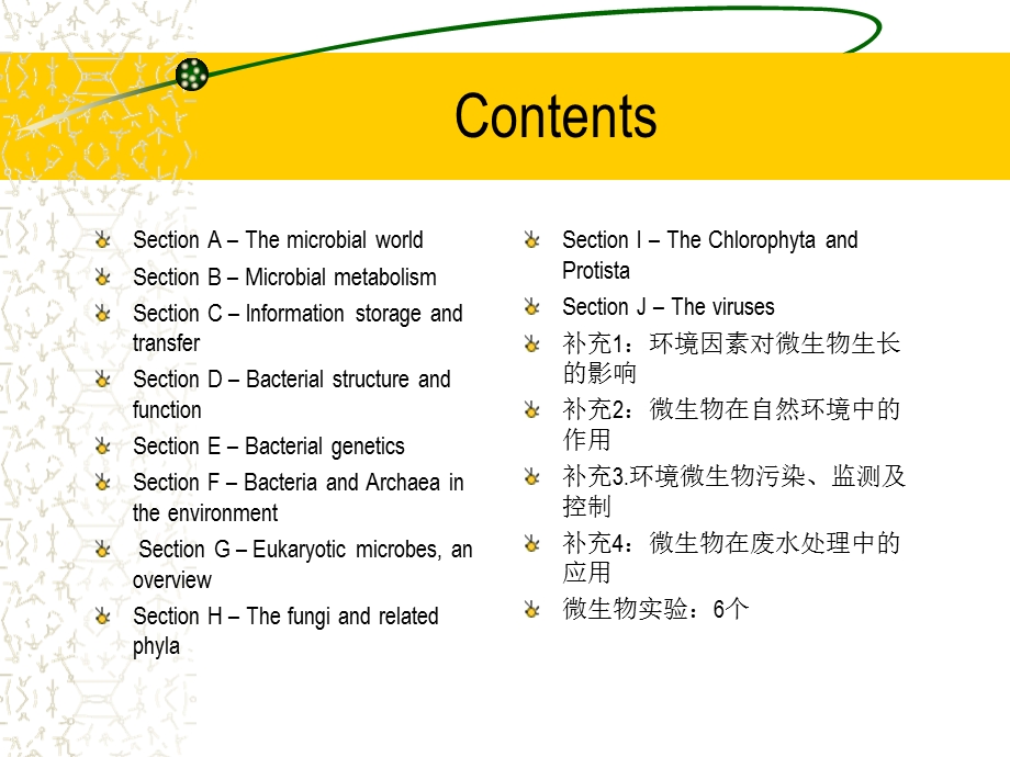 水处理微生物学（中英文对照） .ppt_第2页