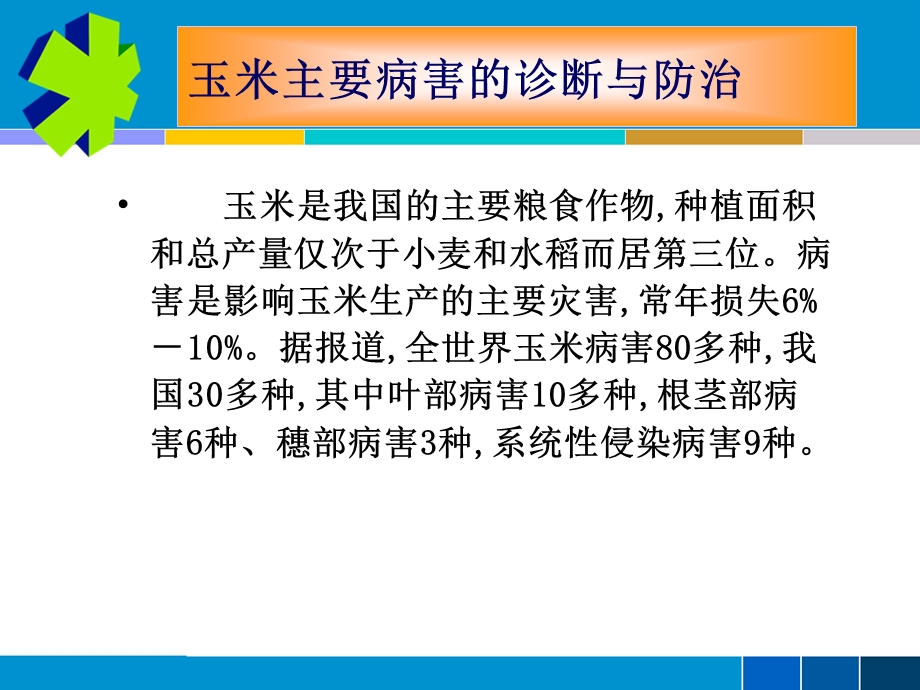 陈宇飞老师玉米水稻病虫害防治培训.ppt.ppt_第2页