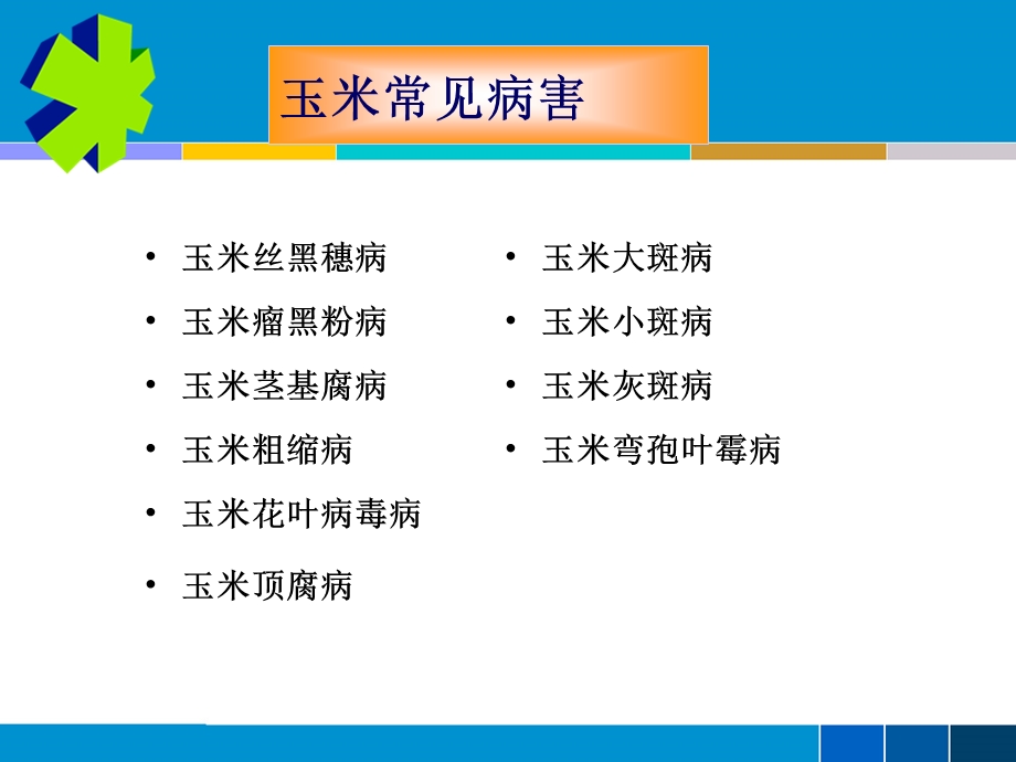 陈宇飞老师玉米水稻病虫害防治培训.ppt.ppt_第3页