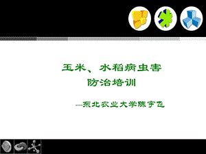 陈宇飞老师玉米水稻病虫害防治培训.ppt.ppt