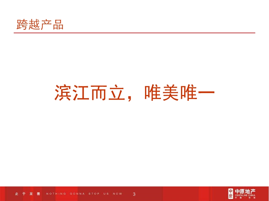 中原-东莞滨江公馆地产项目营销执行报告-108PPT-2007年(1).ppt_第3页