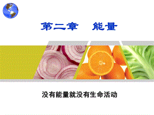 食品营养学第2章能量.ppt