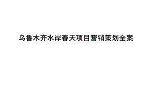 乌鲁木齐某房地产项目营销策划全案.ppt