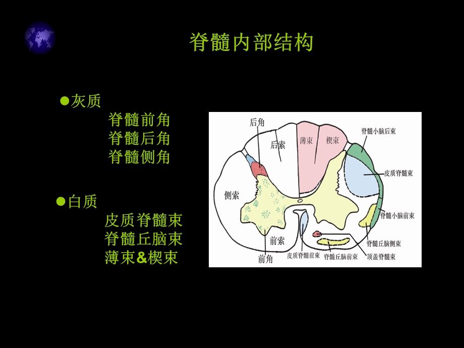 脊髓亚急性联合变性.ppt_第3页