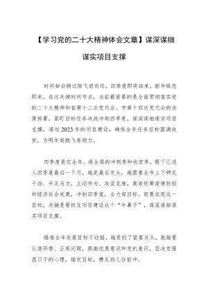 【学习党的二十大精神体会文章】谋深谋细谋实项目支撑.docx