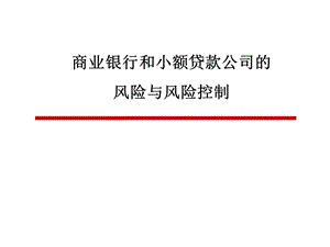 商业银行和小额贷款公司风险与控制.ppt