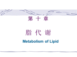 脂代谢培训教学PPT.ppt