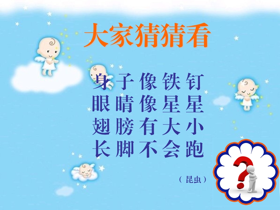 二级美术蜻蜓飞飞幻灯片.ppt_第2页