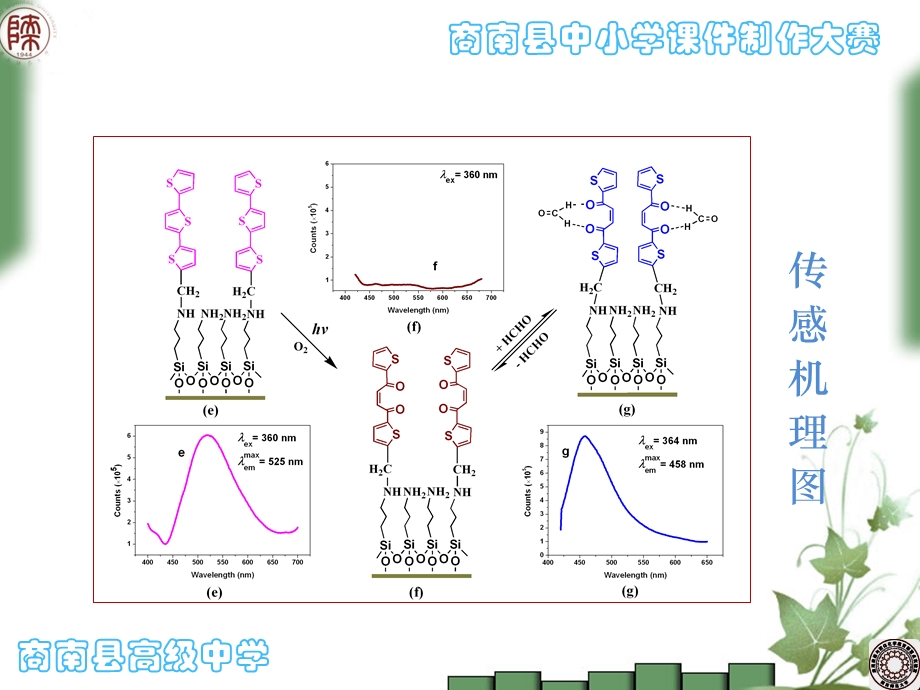 芘封端三聚噻吩的合成、固定化及传感应用研究.ppt_第3页