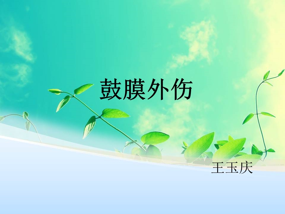 鼓膜外伤完整.ppt_第1页