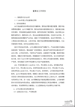 山东如意：董事会工作报告.ppt