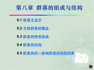 生物群落的组成与结构学习课件教学课件PPT.ppt