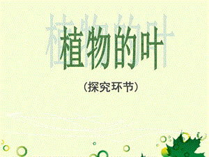 青岛版小学四级科学上册《植物的叶》课件.ppt