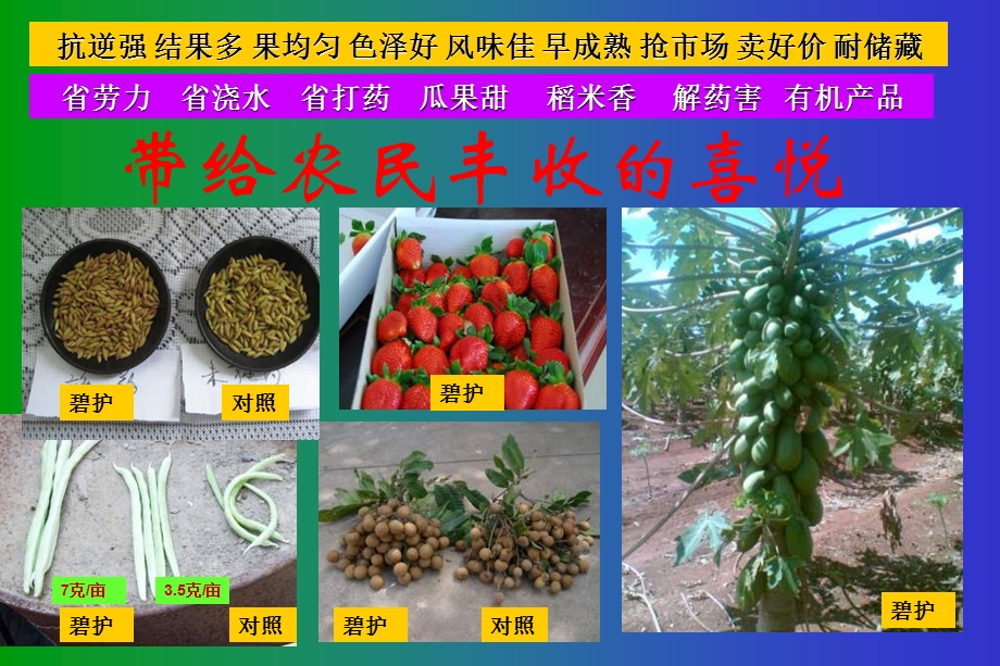 碧护综合幻灯片(NXPowerLite).ppt_第2页