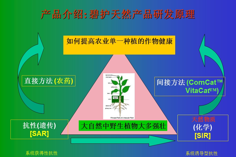 碧护综合幻灯片(NXPowerLite).ppt_第3页