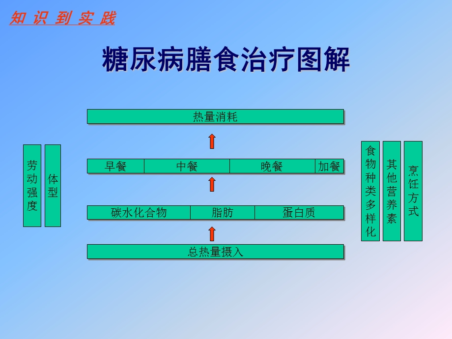 2型糖尿病的饮食治疗.ppt_第2页