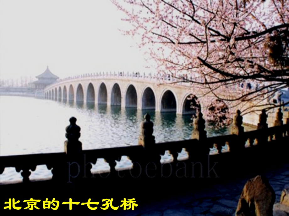 人教版小学语文三级上册《赵州桥》课件.ppt_第2页