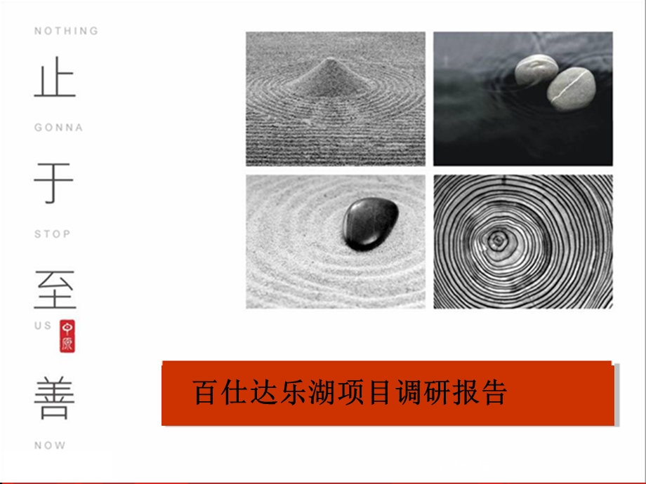 百仕达乐湖调研分析报告.ppt_第1页