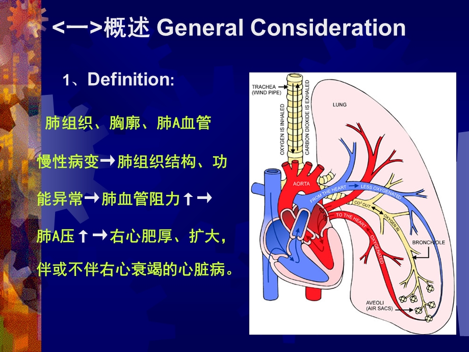 肺心病.ppt.ppt_第2页