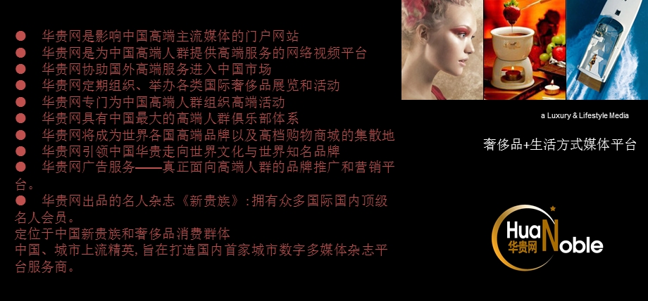 奢侈品网站策划方案(PPT50)1.ppt_第2页