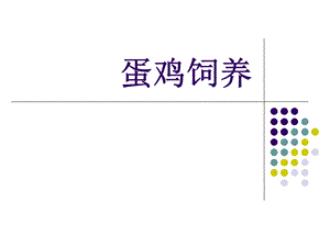 蛋鸡饲养.ppt